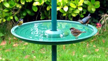 Birdbath around a pole